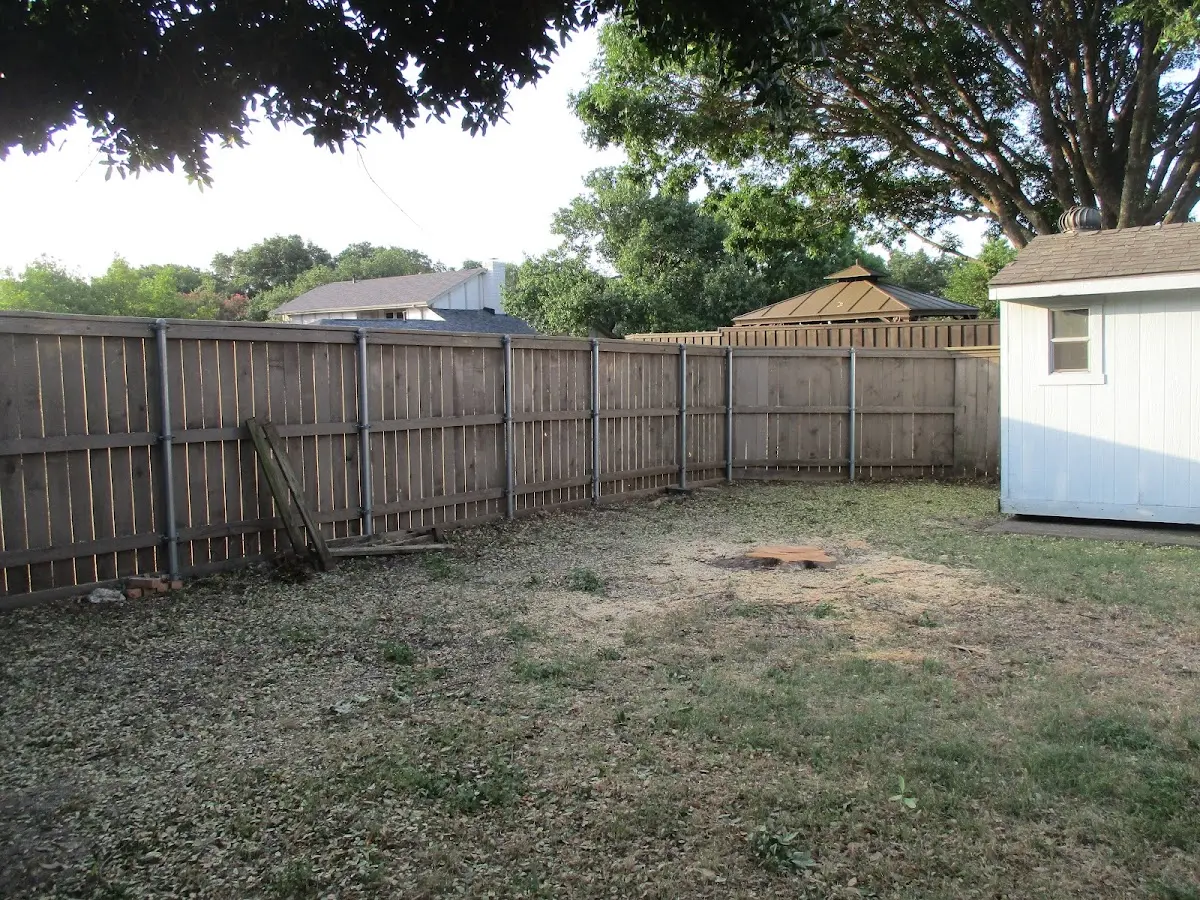 Cleared yard after professional tree removal in Immokalee